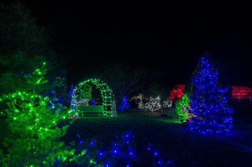 A nighttime scene featuring colorful Christmas lights on trees and structures in a garden setting.
