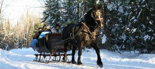 A horse-drawn sleigh travels through a snowy forest, with two people bundled up inside.