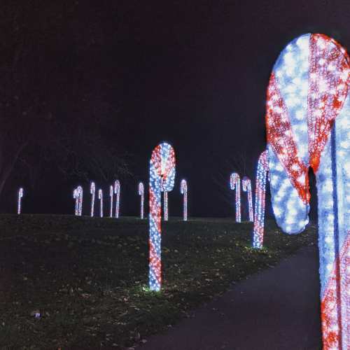A nighttime scene featuring illuminated candy cane decorations lining a path in a park.