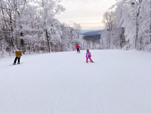 A snowy ski slope with three people skiing, surrounded by frosted trees and a distant mountain view.