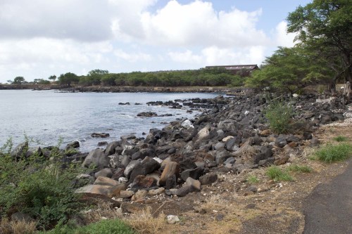 A rocky shoreline with calm water, surrounded by greenery and a cloudy sky in the background.