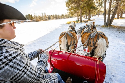 A person in a hat drives a horse-drawn sleigh through a snowy landscape with trees in the background.
