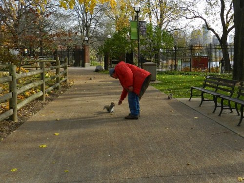 A person in a red jacket bends down to feed a squirrel in a park with trees and benches in the background.