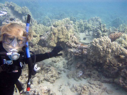 A diver in a wetsuit explores a coral reef underwater, gesturing towards the vibrant marine life.