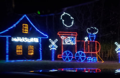 Colorful holiday lights display featuring a train and a house, surrounded by palm trees against a dark background.