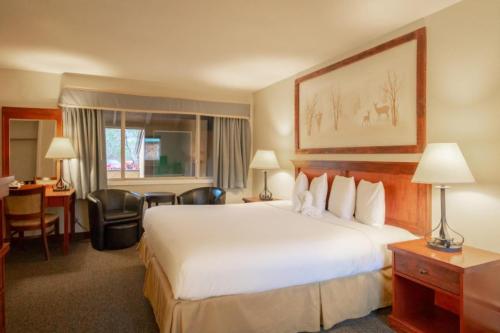 Cozy hotel room with a large bed, two chairs, a desk, and a window with curtains, featuring a nature-themed wall art.