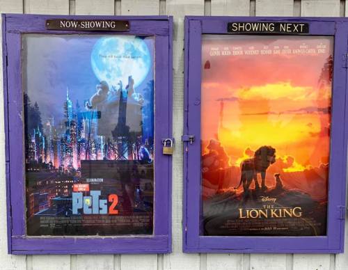 Movie posters for "The Secret Life of Pets 2" and "The Lion King," displayed in a purple frame.