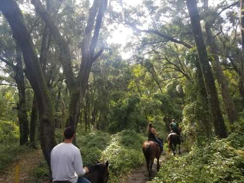 Two people on horseback ride through a lush, green forest with tall trees and dappled sunlight.