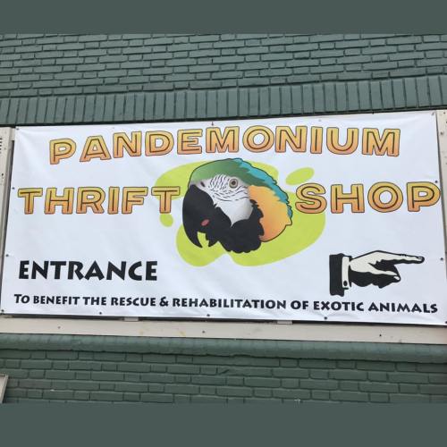 Banner for "Pandemonium Thrift Shop" with a parrot graphic, promoting animal rescue and rehabilitation.