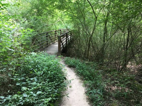 A narrow sandy path leads to a wooden bridge surrounded by lush green foliage and trees.