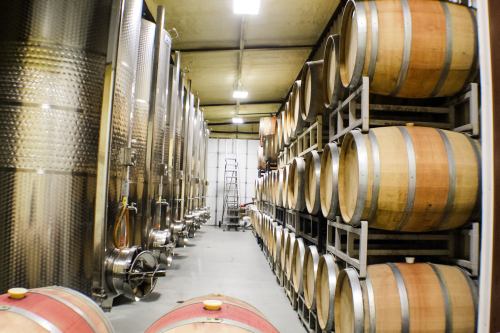 Interior of a winery featuring stainless steel tanks and wooden barrels stacked on racks.