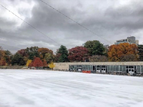 A snowy outdoor area with a cloudy sky, surrounded by trees displaying autumn colors.