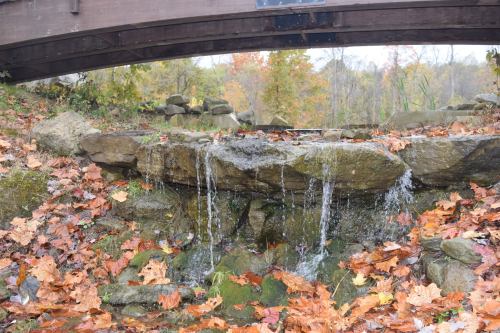 A small waterfall flows over rocks, surrounded by autumn leaves, beneath a wooden bridge in a natural setting.