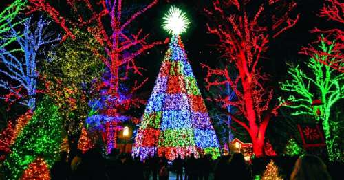 A brightly lit Christmas tree surrounded by colorful lights and festive decorations in a winter night setting.