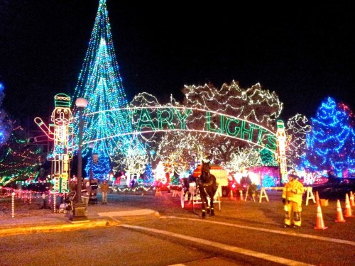 Colorful holiday lights illuminate a park entrance, featuring a large tree and festive decorations at night.