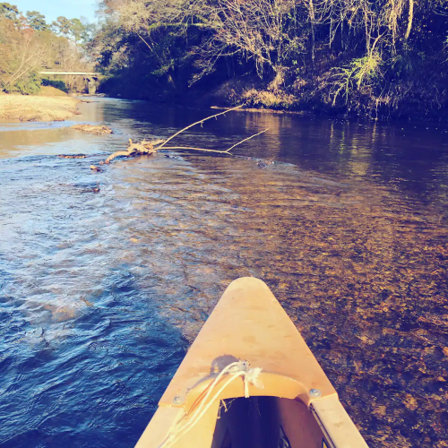 A view from a kayak on a calm river, surrounded by trees and a clear blue sky.