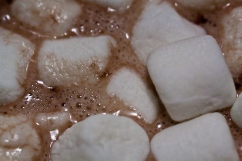 Close-up of fluffy marshmallows floating in rich, creamy hot chocolate with bubbles.