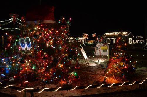 Colorful Christmas lights adorn a decorated tree and festive displays in a nighttime holiday scene.