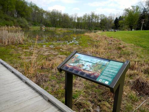 A wooden walkway leads to a pond with a sign displaying information about the area, surrounded by greenery.