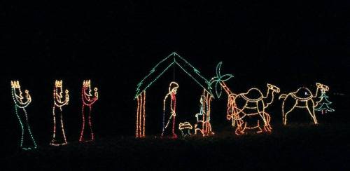 Colorful Christmas lights depicting a nativity scene with figures, camels, and a palm tree against a dark background.