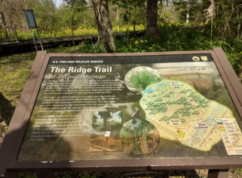 Sign for The Ridge Trail at Bayou Sauvage, featuring a map and information about the trail and surrounding landscape.