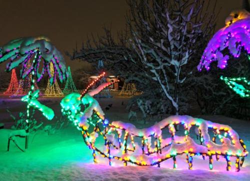 A colorful light display of a caterpillar surrounded by snow, with vibrant trees illuminated in the background.