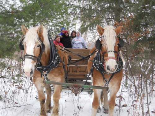 A group of people smiles from a wooden sled pulled by two horses in a snowy forest setting.