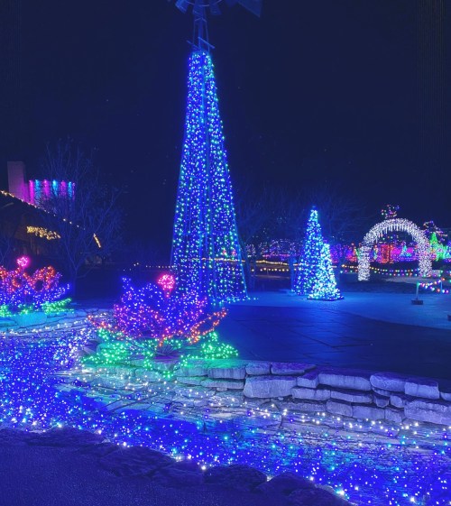 Colorful holiday lights illuminate trees and decorations in a festive outdoor setting at night.