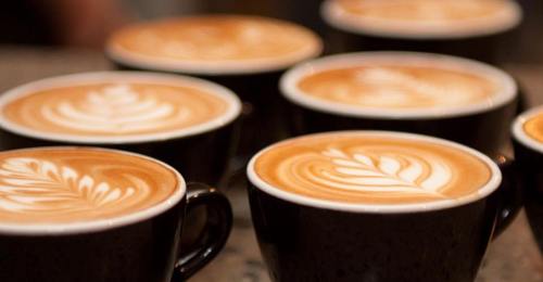 A close-up of several cups of latte art featuring intricate leaf designs on creamy coffee.