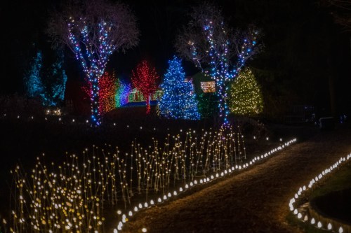 A festive display of colorful holiday lights on trees and pathways in a dark garden setting.