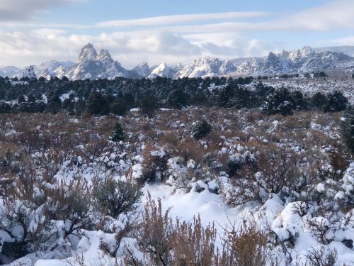 A snowy landscape with rugged mountains in the background and sparse vegetation in the foreground.