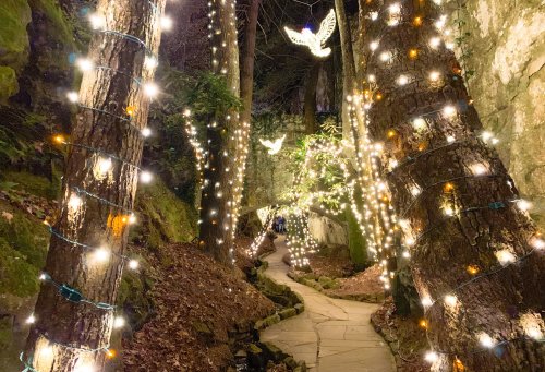 A serene pathway lined with trees wrapped in twinkling lights, leading through a forest at night.