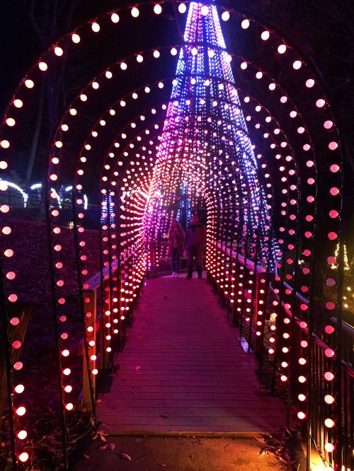A brightly lit archway with colorful lights, leading to a festive pathway with people walking through.