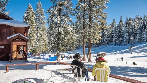 Two people sit at a table in the snow, overlooking a ski area surrounded by tall pine trees and clear blue skies.