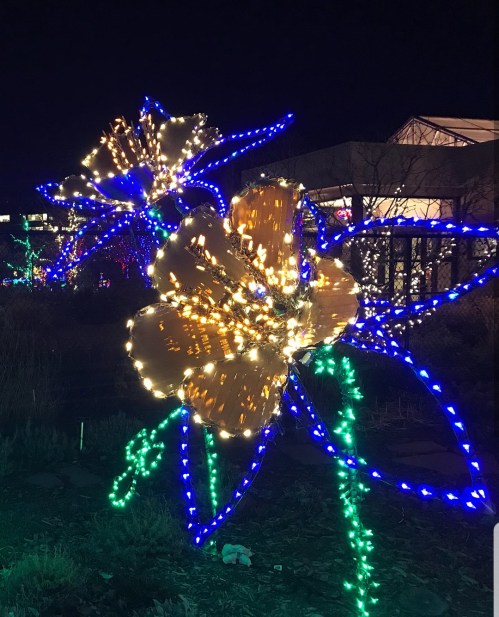 Brightly lit flower sculptures with blue and green lights against a dark night sky.