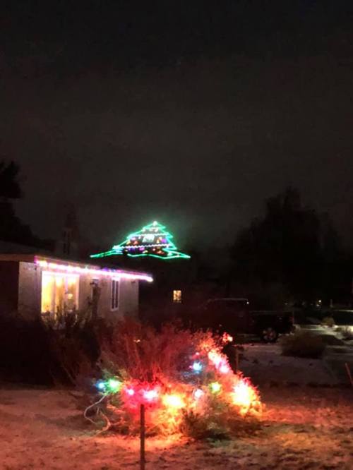 A house decorated with colorful Christmas lights, featuring a green-lit tree on the roof, set against a dark night sky.