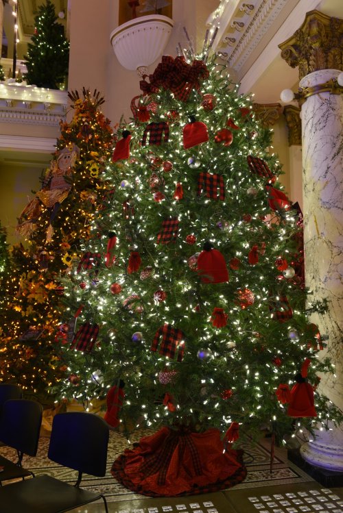 A beautifully decorated Christmas tree with red and black accents, adorned with lights and ornaments, in a festive setting.