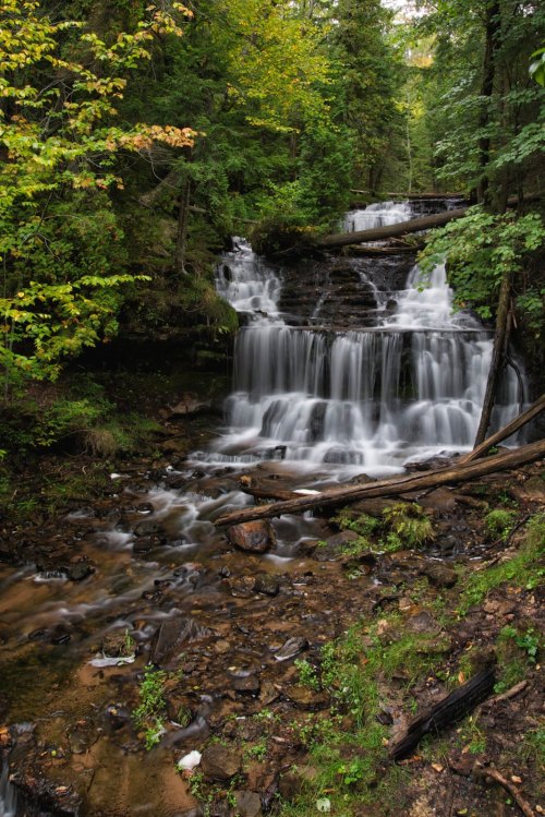 A serene waterfall cascades over rocks, surrounded by lush green trees and fallen logs in a tranquil forest setting.