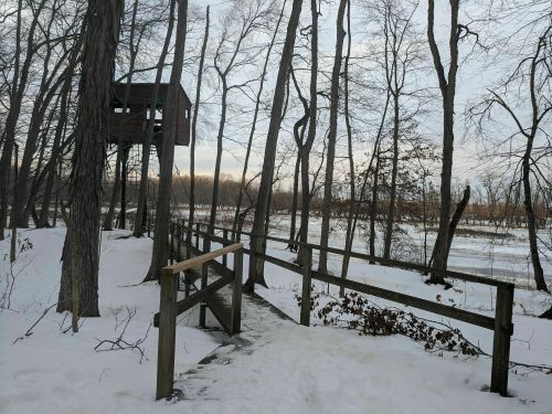 A snowy path leads to a treehouse among bare trees, with a river visible in the background.