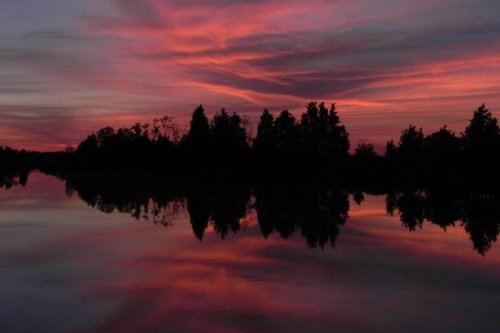A serene sunset over a calm lake, with vibrant pink and purple skies reflecting on the water and silhouetted trees.