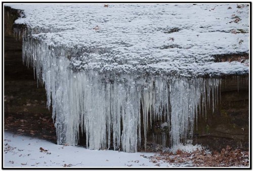 Icicles hang from a snowy ledge, surrounded by a blanket of white snow and fallen leaves.