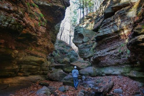A person walks through a narrow canyon surrounded by tall, rocky cliffs and scattered autumn leaves.