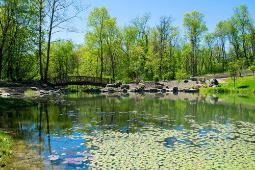 A serene park scene featuring a pond with lily pads, surrounded by lush green trees and a wooden bridge.