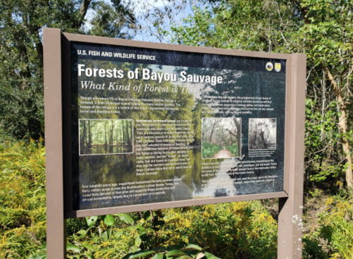 Sign about the Forests of Bayou Sauvage, detailing the types of forests and wildlife in the area. Surrounded by greenery.