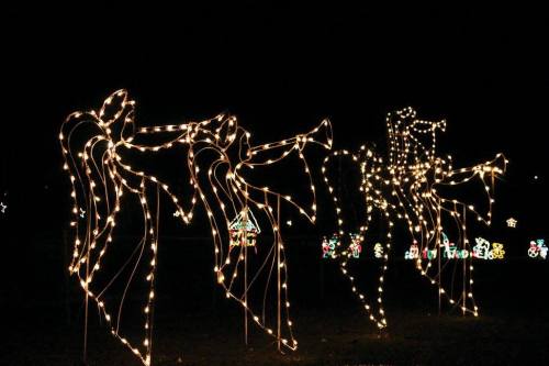Two illuminated angel figures with trumpets, glowing against a dark night sky, surrounded by festive lights.