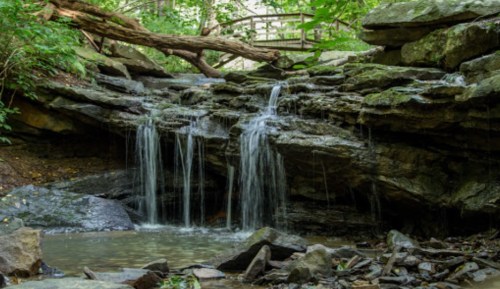 A serene waterfall cascades over rocks into a calm pool, surrounded by lush greenery and trees.