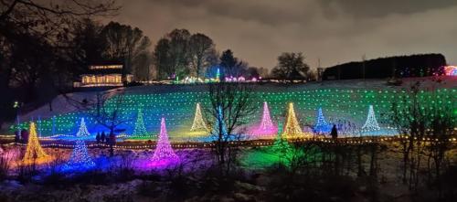 A hillside adorned with colorful Christmas lights, featuring illuminated trees and a house in the background.