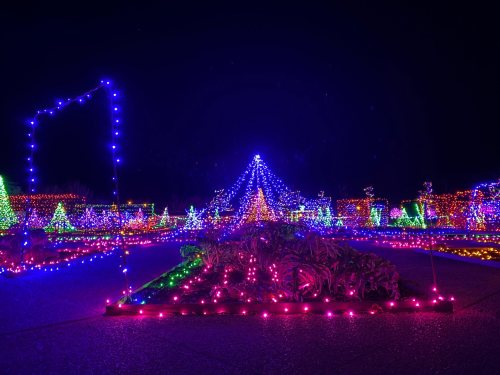 A vibrant display of colorful holiday lights illuminating a garden at night, featuring trees and decorative shapes.
