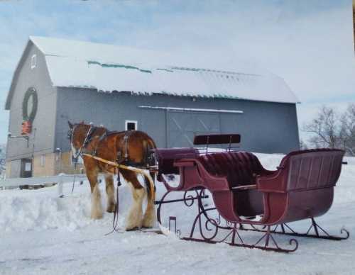 A horse is hitched to a red sleigh in front of a snowy barn, decorated with a wreath for the winter season.