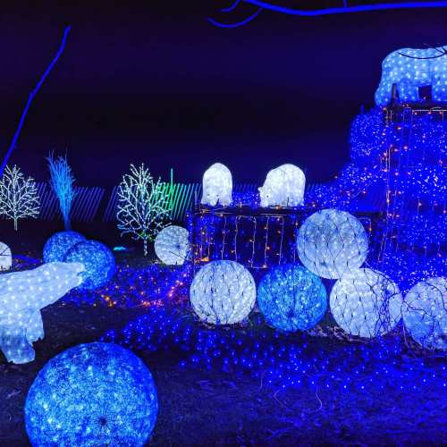 A display of blue and white holiday lights featuring illuminated animals and decorative spheres against a dark background.